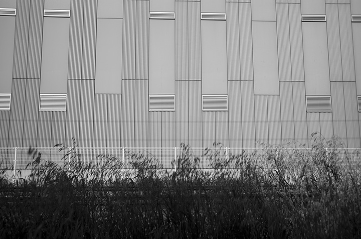 L1004018.jpg