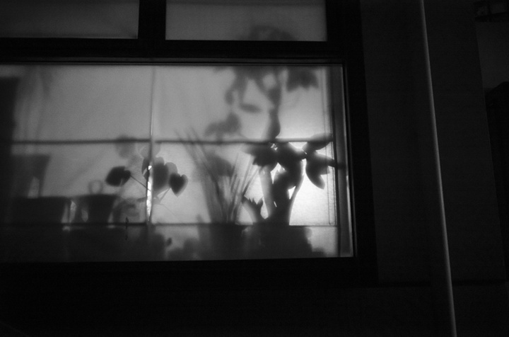 �the scrap� landscape elements 夜の窓