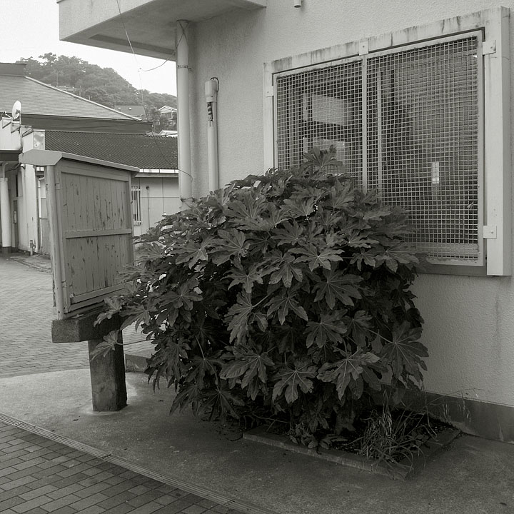 R0018194.jpg
