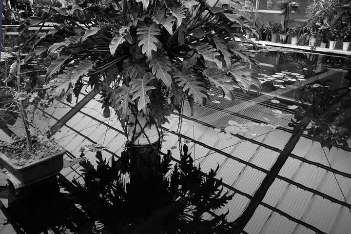 _0030037.JPG