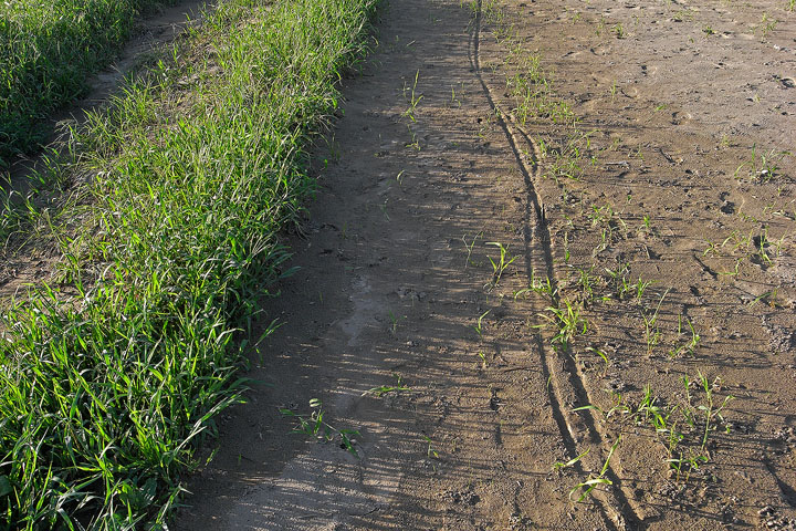 R0013369.jpg